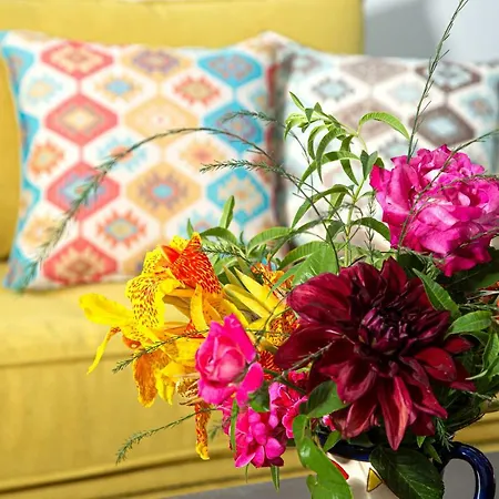 Apartment Antigone *