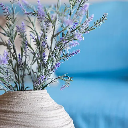 Antigone 아르고스톨리온